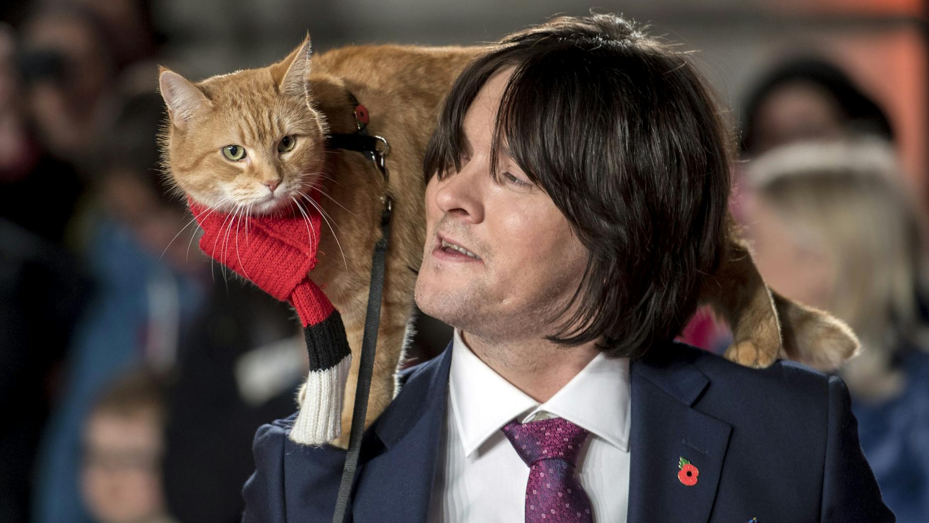 James Bowen und seine geliebte Katze Bob.