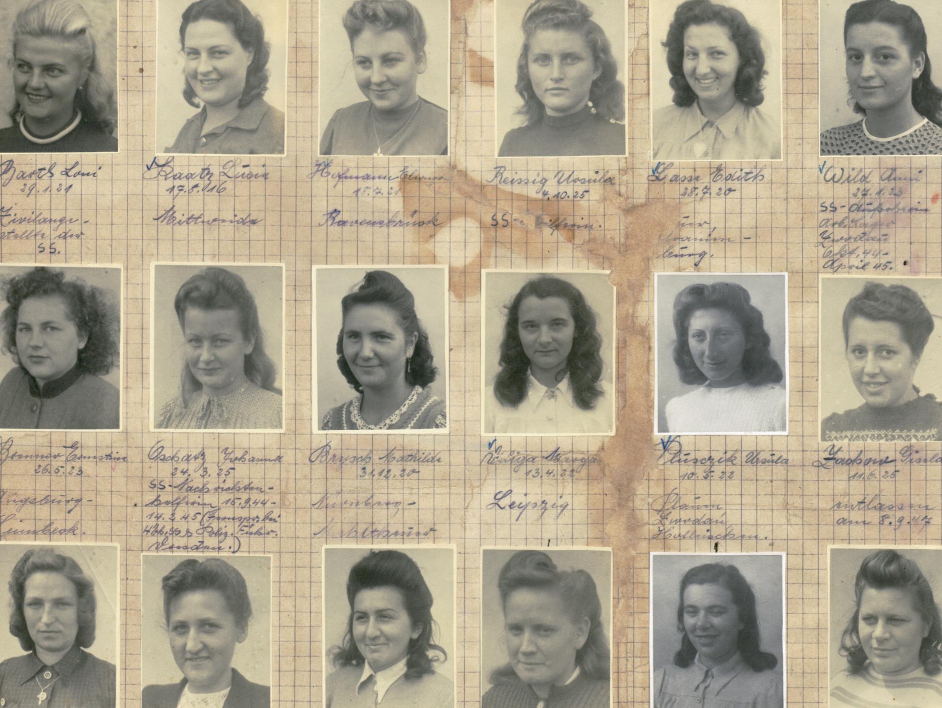 Frauen von nebenan: Passfotos von ehemaligen KZ-Aufseherinnen, die 1947 in amerikanischen Internierungslagern auf ihre Spruchkammerverfahren warteten.<br>