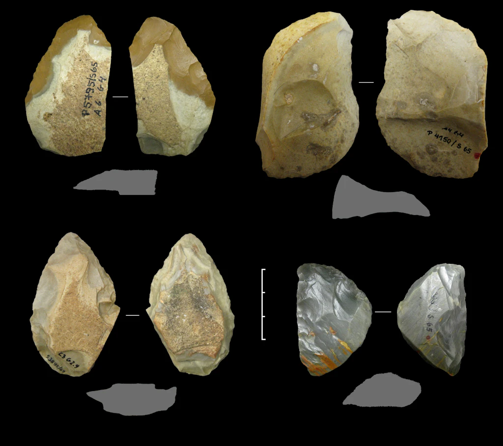Wie sich Neandertaler an das Klima anpassten