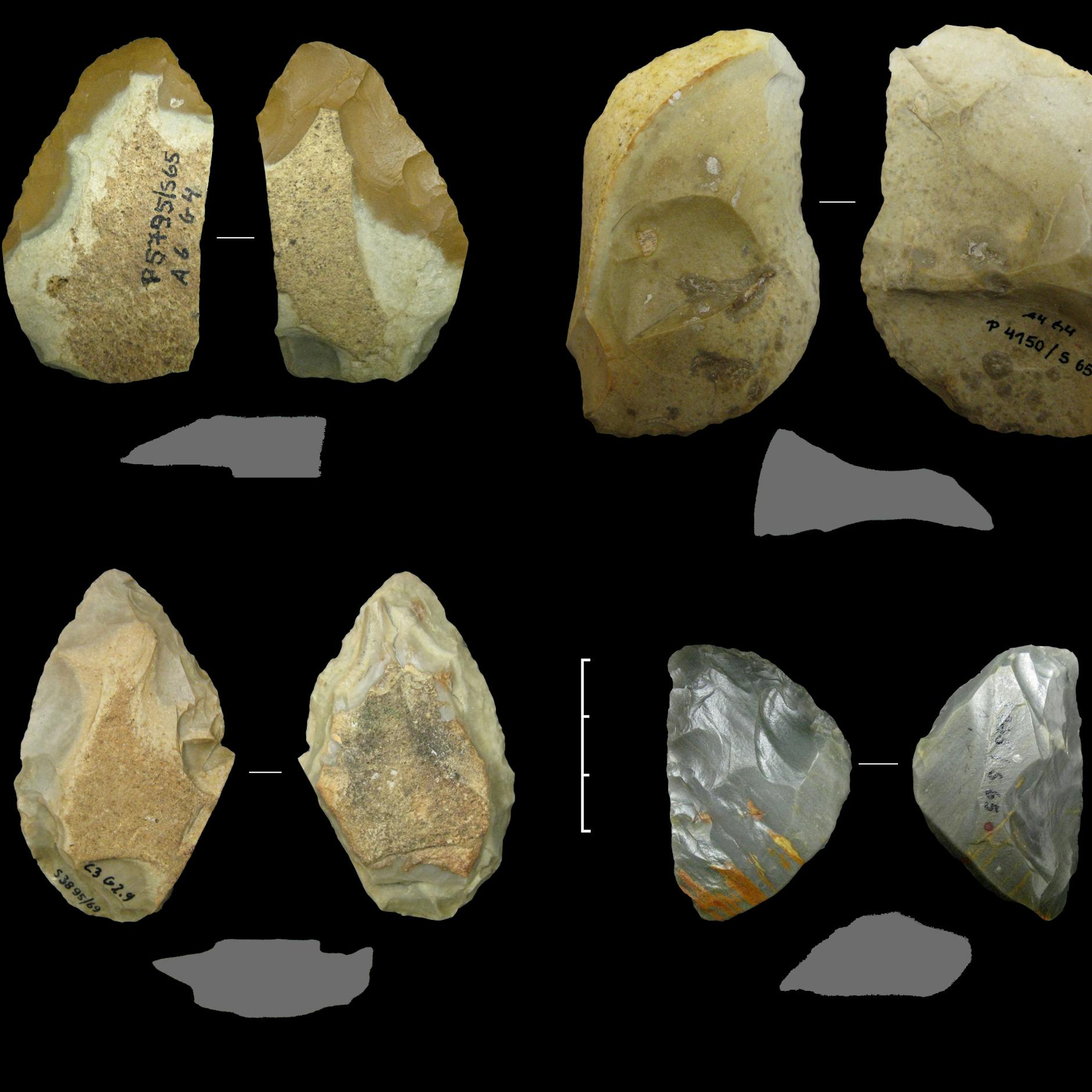 Verschiedene Keilmesser sowie ein einfaches Messer mit Rücken (oben rechts) aus der Zeit der Neandertaler vor 60.000 bis 44.000 Jahren aus der Sesselfelsgrotte bei Kelheim (G-Schichten, Grabungen Prof. Freund, FAU).