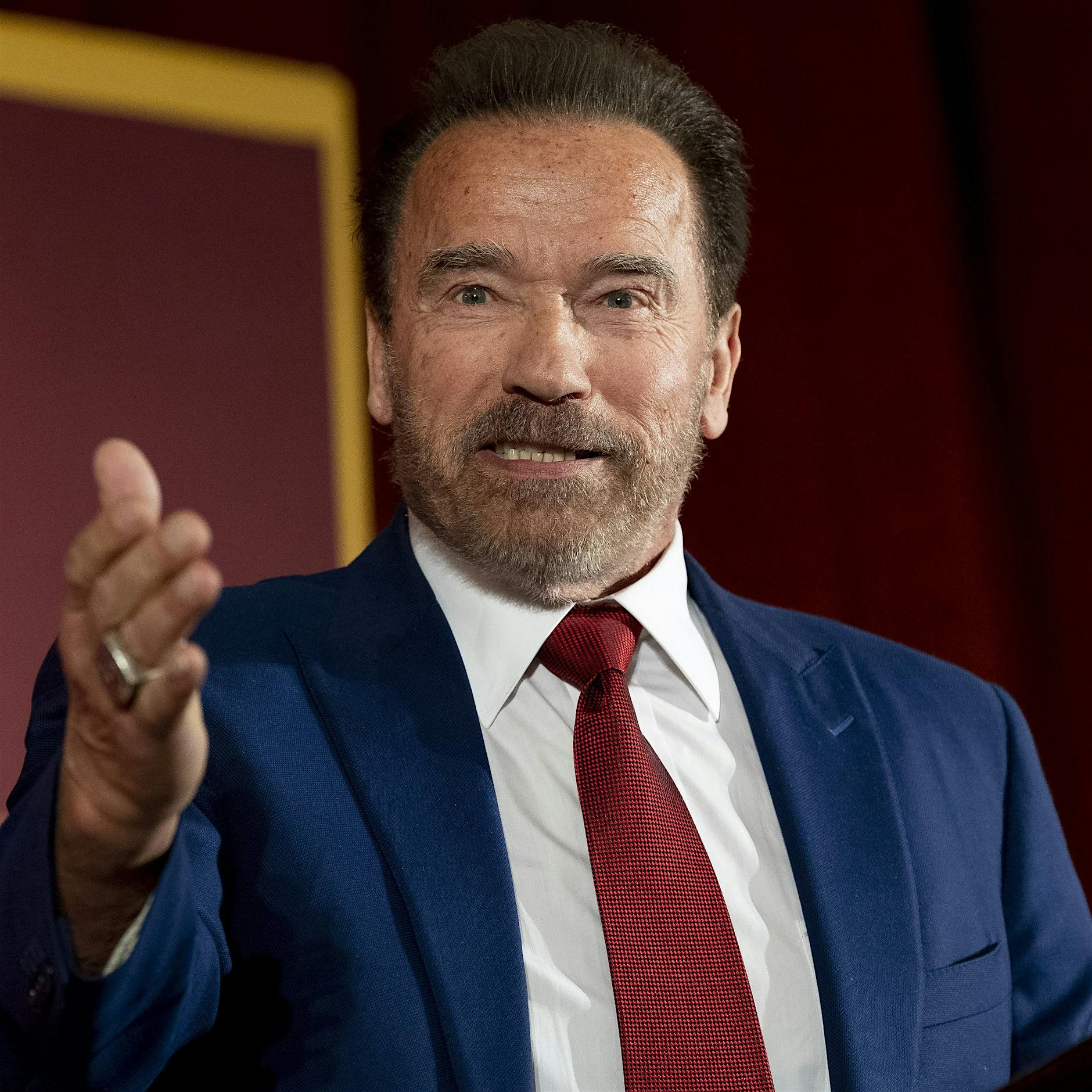 Schwarzenegger wird zum Spionage-Papa