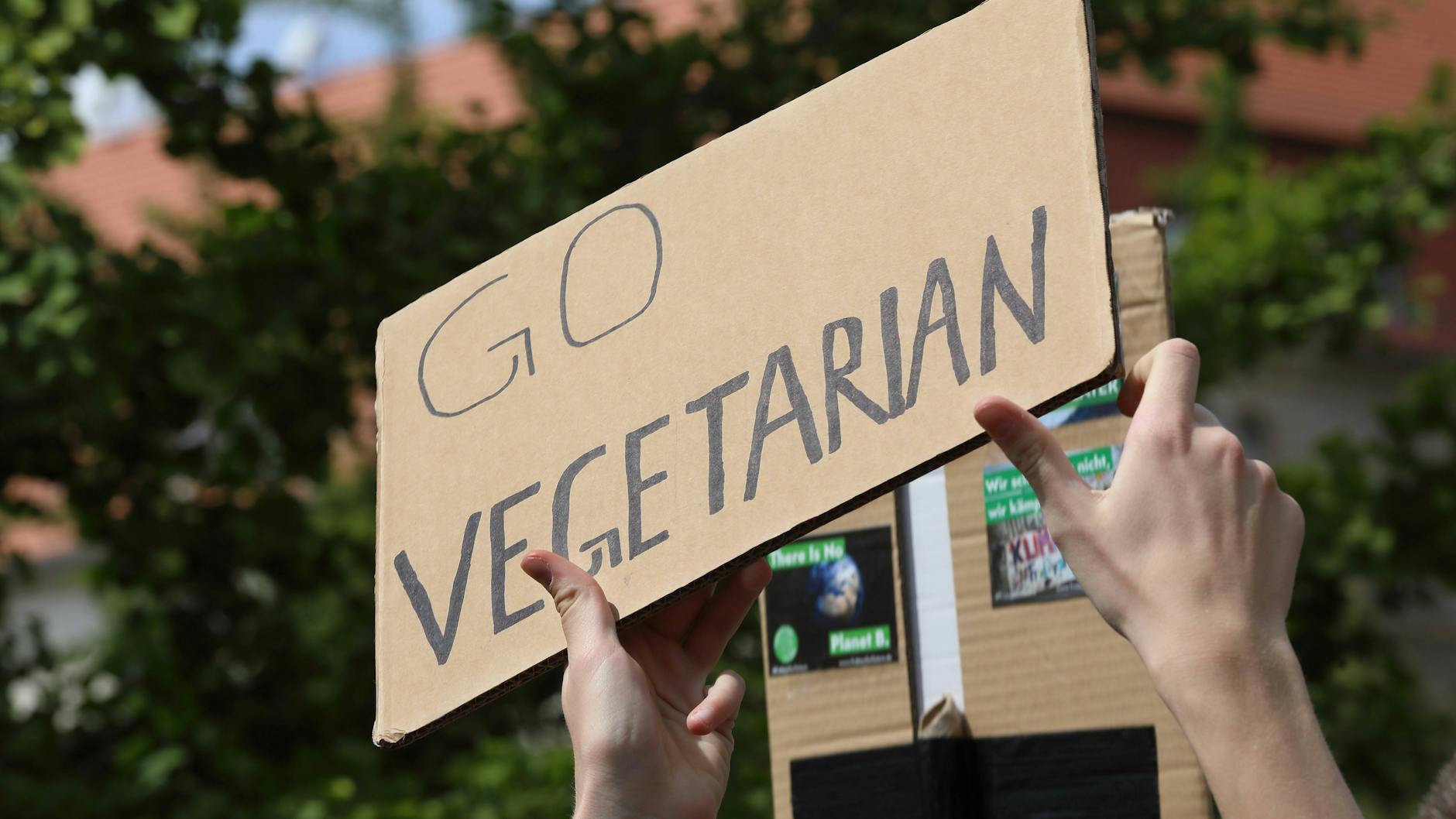 If you've got something say, say it in English. A placard at a Fridays for Future protest in Berlin.