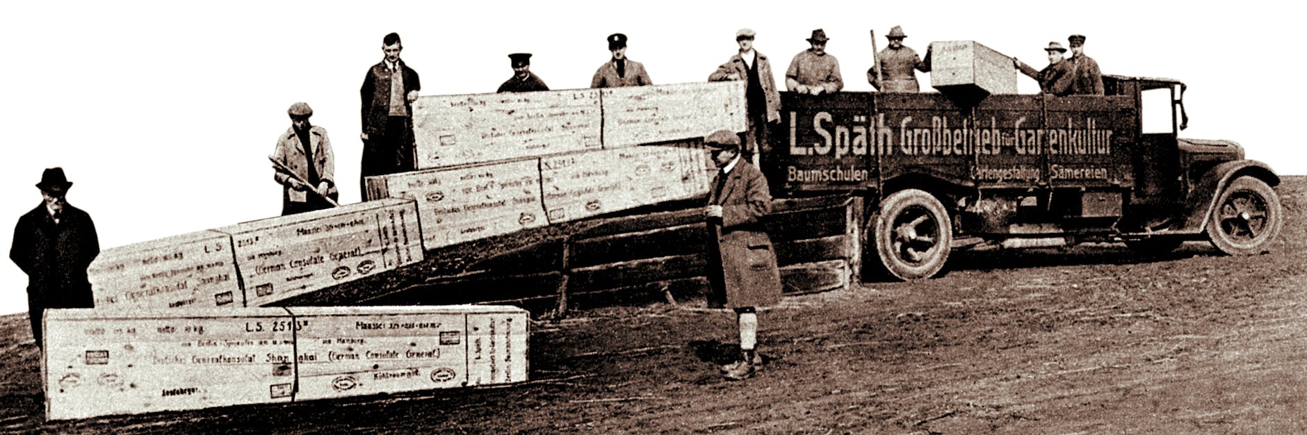 Baumsendung von den Späth'schen Baumschulen nach Shanghai.