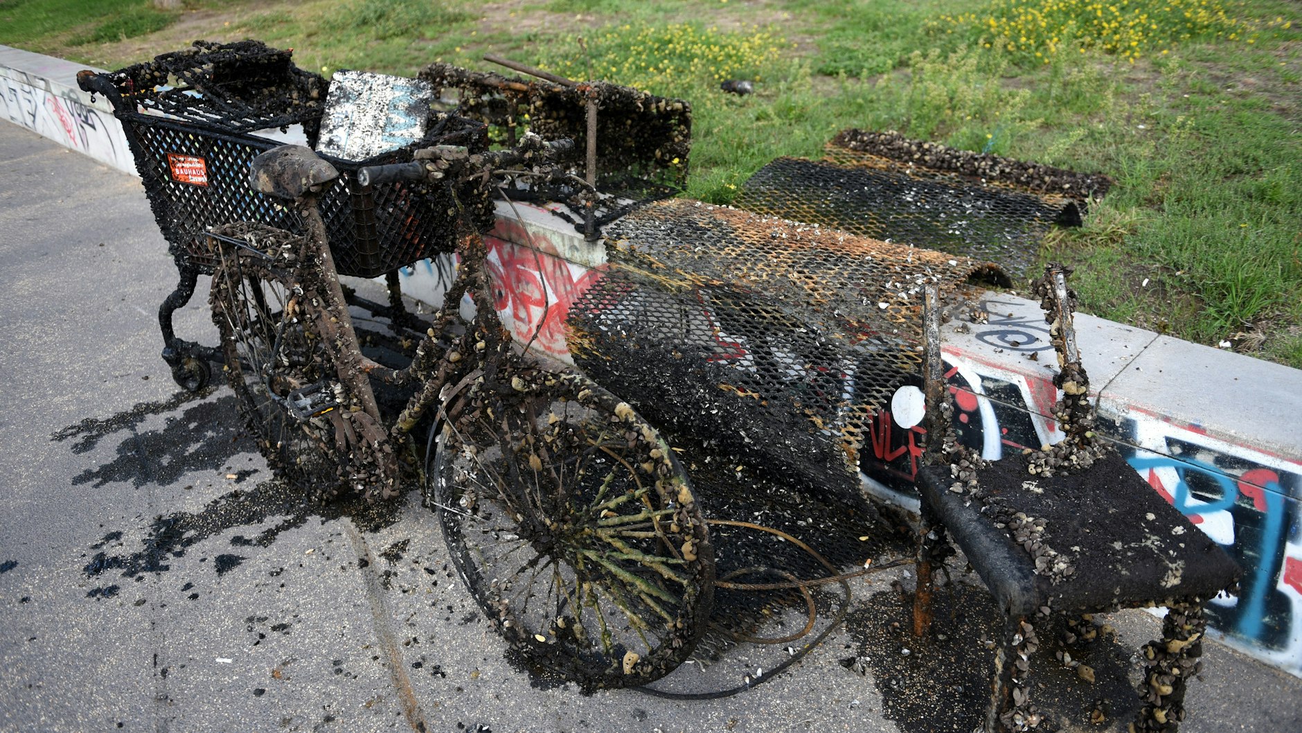 Ein Teil der Ausbeute des Tages - wie viel Schrott noch auf dem Grund der Spree liegt, lässt sich nur schwer sagen.