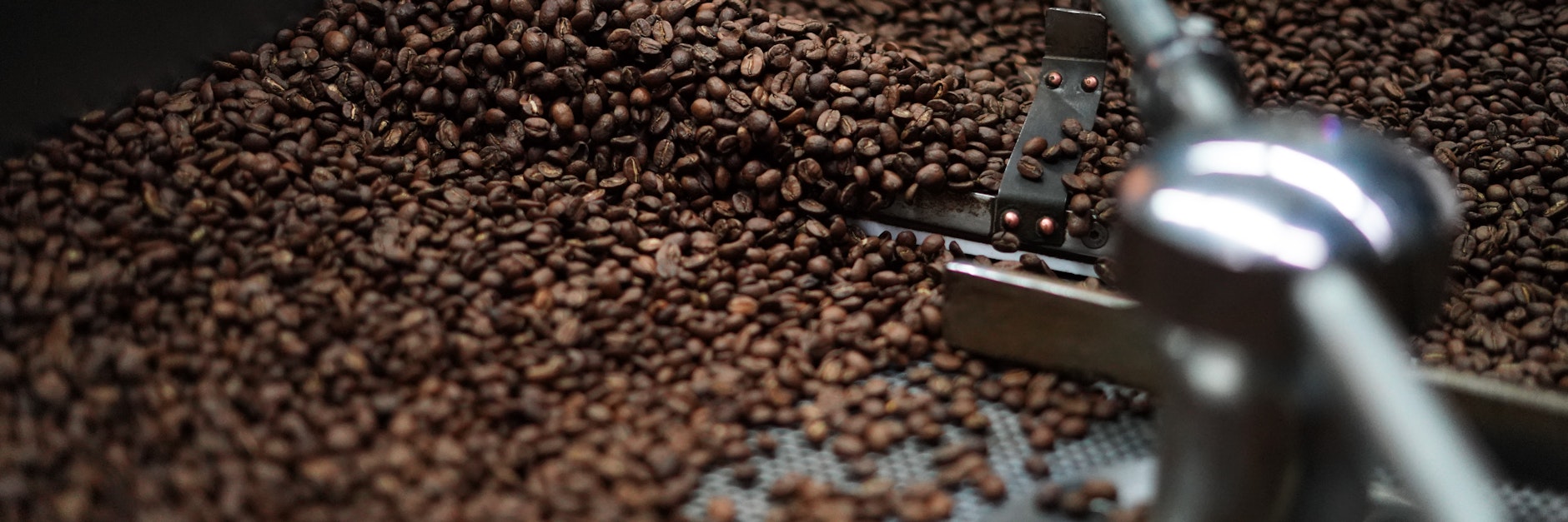 Wie stark darf es sein? Eine dunkel geröstete Bohne ist gut für Espresso, Filterkaffee zum Beispiel braucht etwas hellere Bohnen.