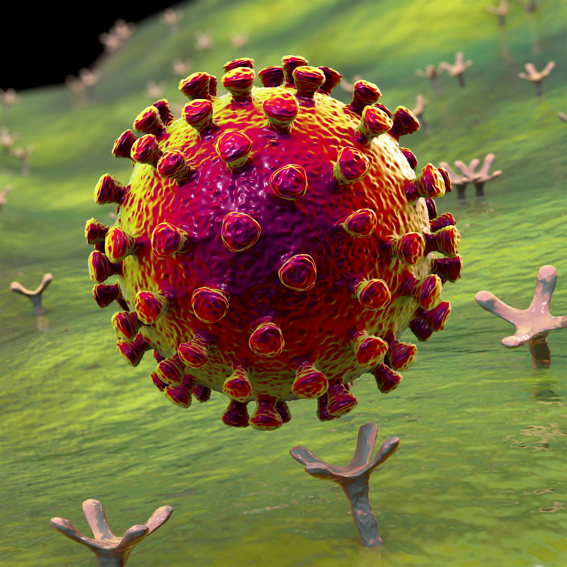 Viren, Gene, Vektoren: Das sind die Impfstoff-Typen gegen Corona