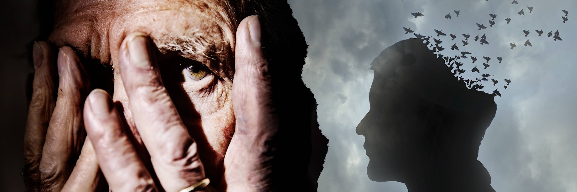 Viele Menschen fürchten sich davor, an Alzheimer zu erkranken, denn damit geht der Verlust der Selbstständigkeit einher.