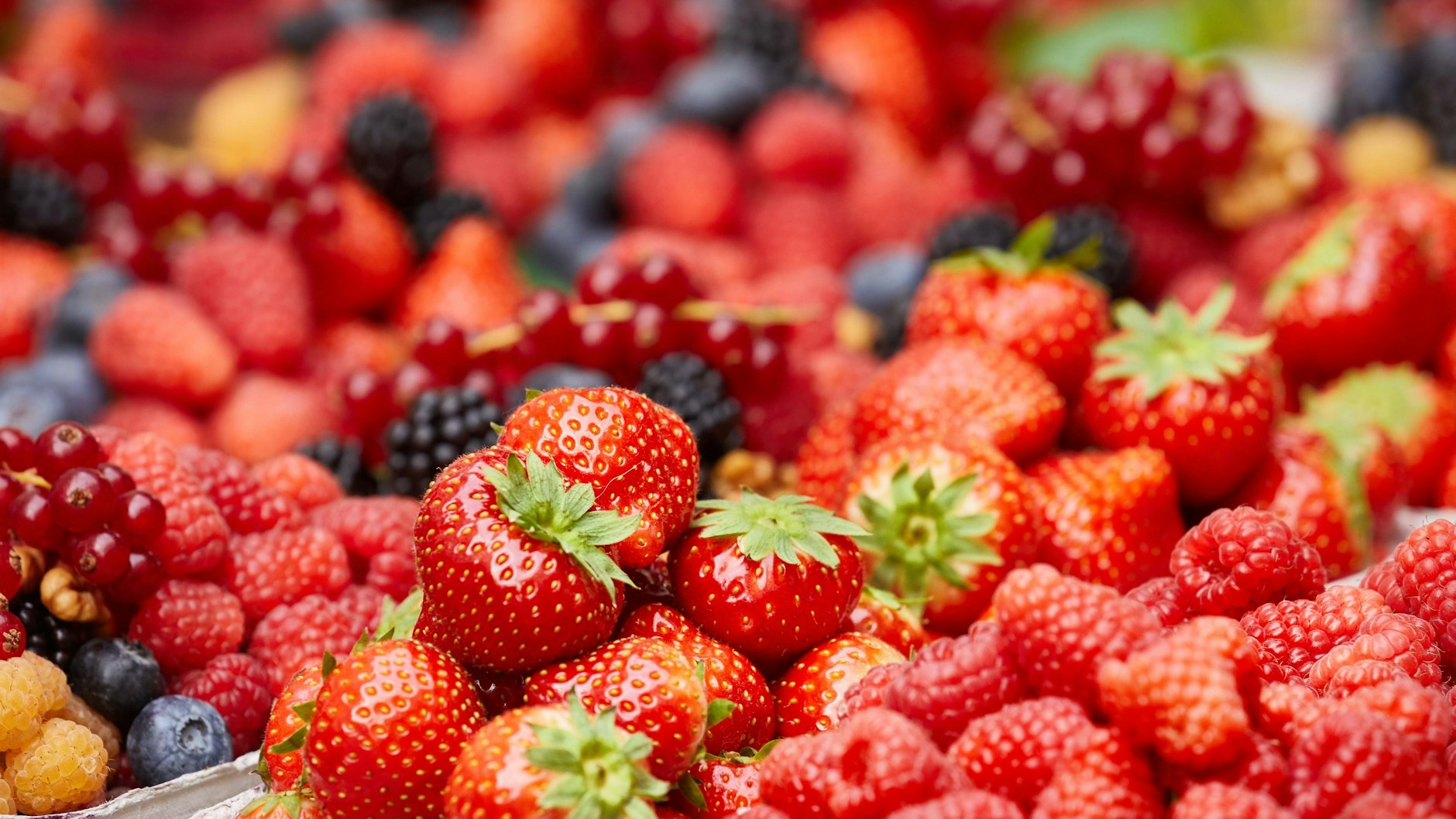 So verlockend Erdbeeren und Co. im Supermarkt aussehen: Das Naschen der Früchte als kleine Kostprobe ist verboten.