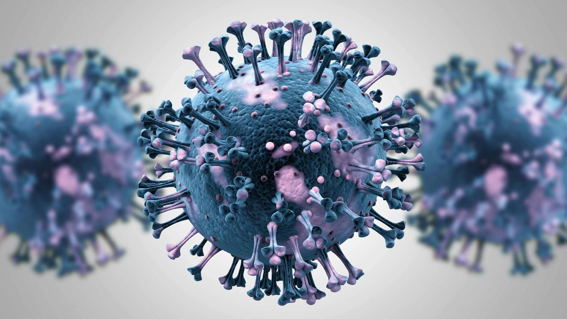 Das Coronavirus.