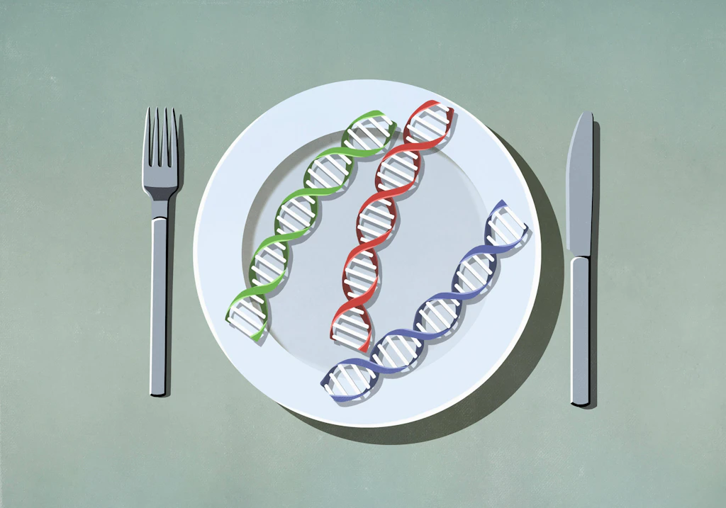Essen fürs Erbgut: Können wir unsere Gene durch Diät steuern?