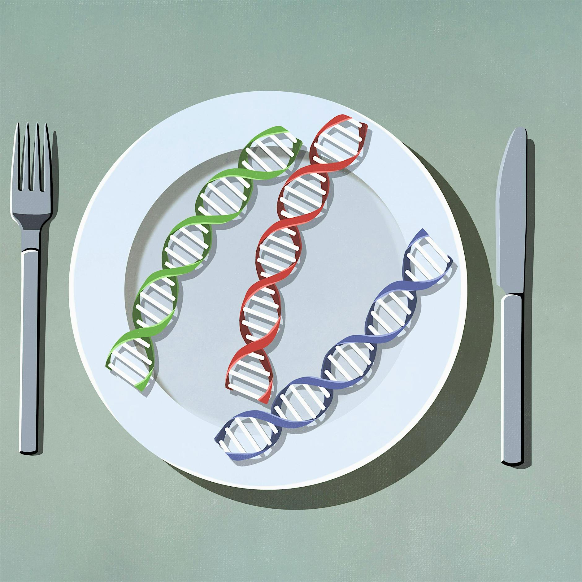 Essen fürs Erbgut: Können wir unsere Gene durch Diät steuern?