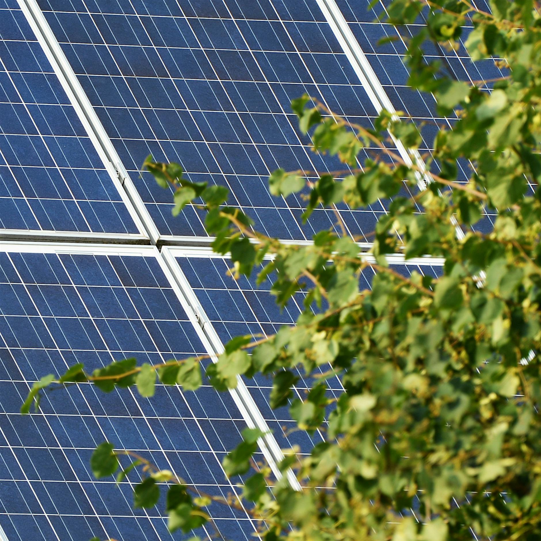 Berlin ist enttäuscht von der Gesetzesnovelle zum Ökostrom