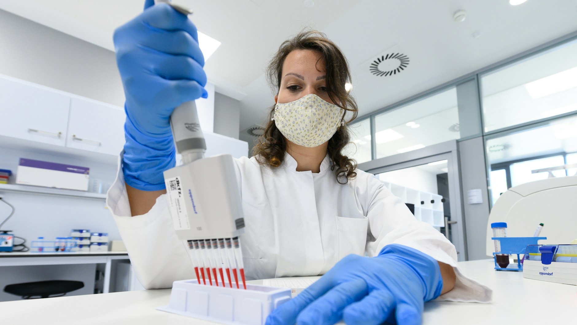 Eine Krebsforscherin des Nationalen Centrums für Tumorerkrankungen (NCT) am Standort Dresden beim Pipettieren.