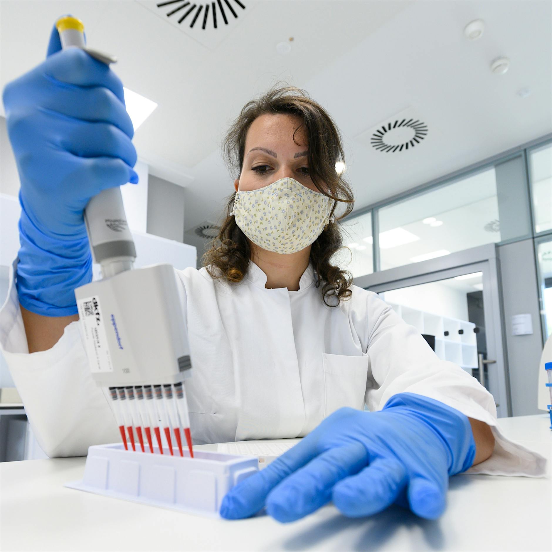 Zellbasierte Krebsmedizin: Berlin will mehr Patienten mit modernsten Methoden retten