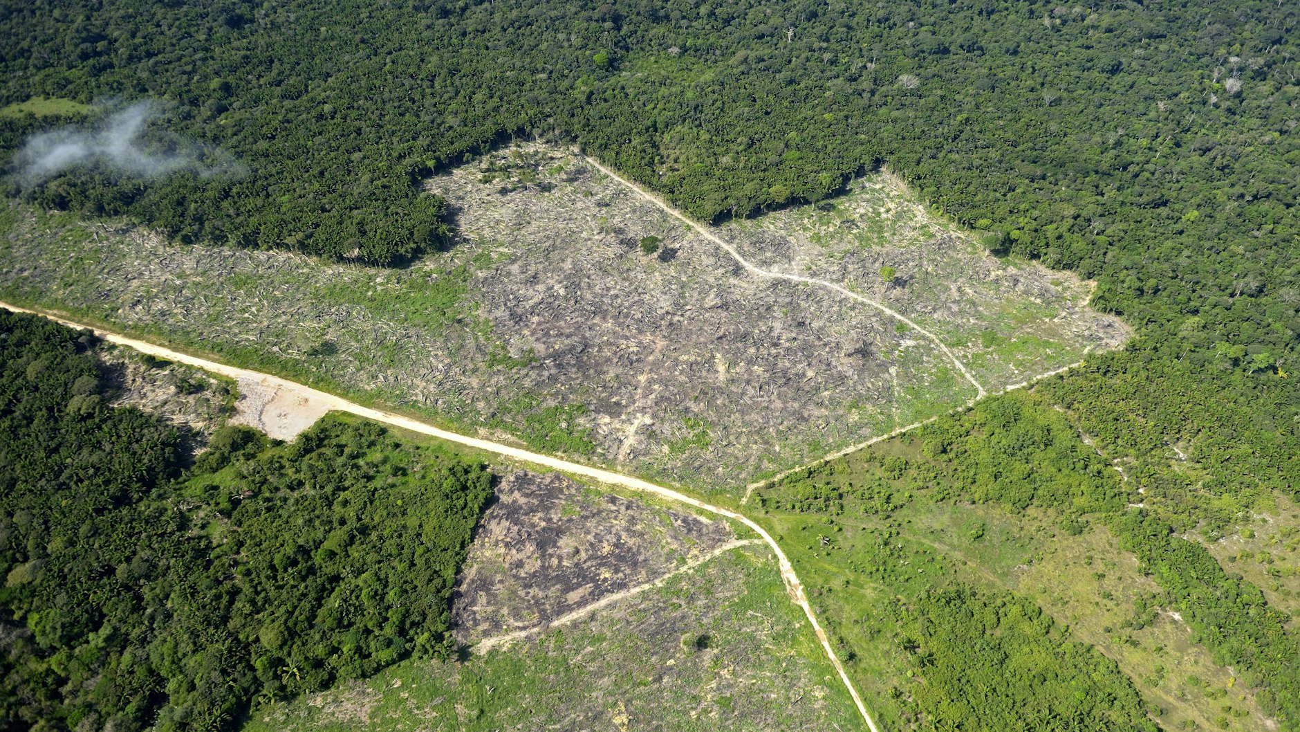 Großflächige Zerstörung des klimawichtigen Amazonas-Regenwaldes in Brasilien, um Weideland zu schaffen. Aus solchen Ländern sollten keine Produkte mehr gekauft werden, fordern Forscher.