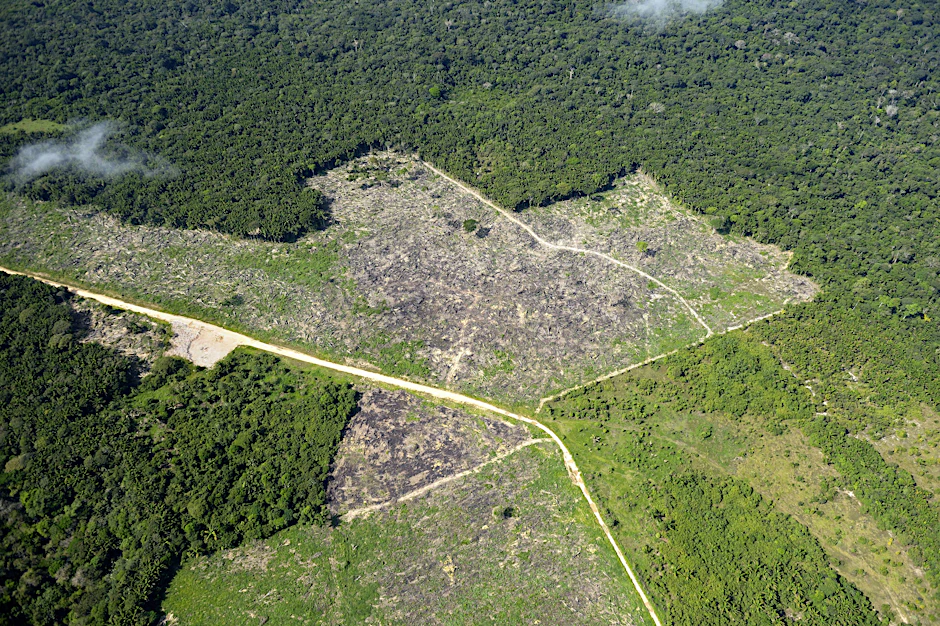 Großflächige Zerstörung des klimawichtigen Amazonas-Regenwaldes in Brasilien, um Weideland zu schaffen. Aus solchen Ländern sollten keine Produkte mehr gekauft werden, fordern Forscher.