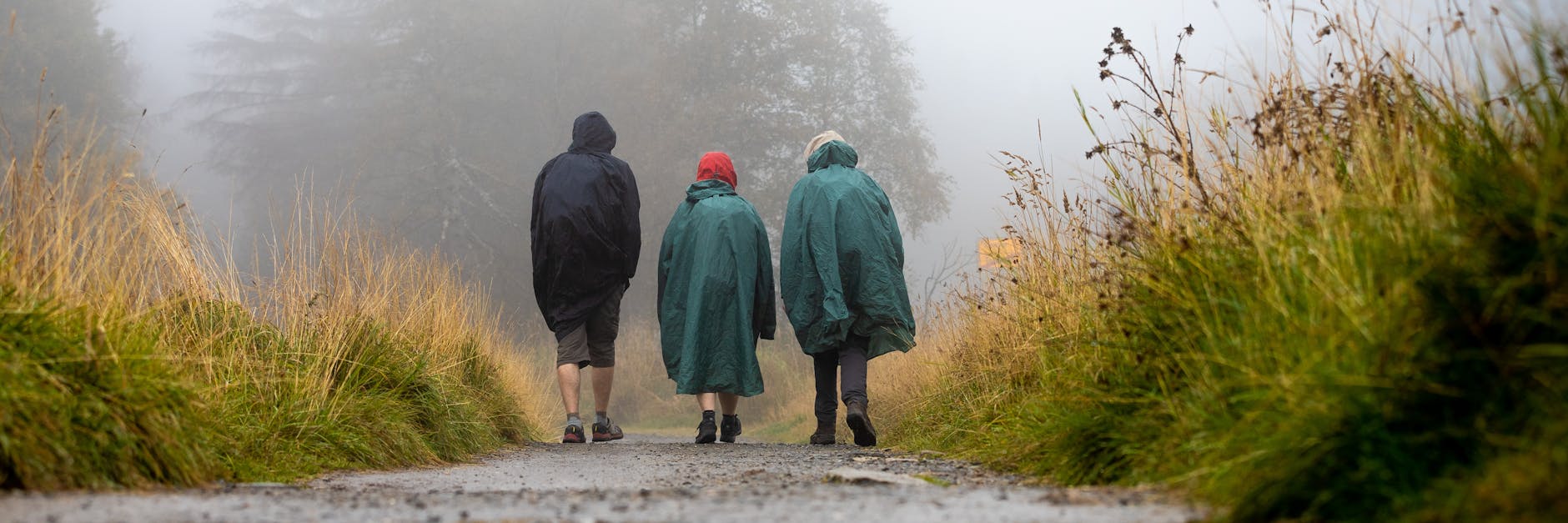 Drei Spaziergänger wagen sich bei Regen und Nebel nach draußen.
