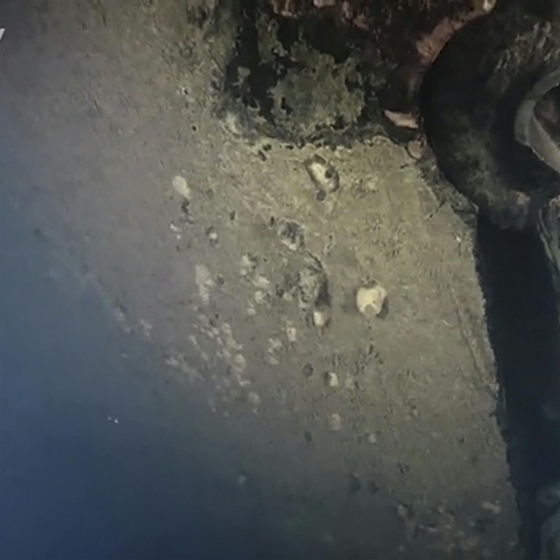 „Estonia“-Unglück: Fähre könnte mit U-Boot kollidiert sein