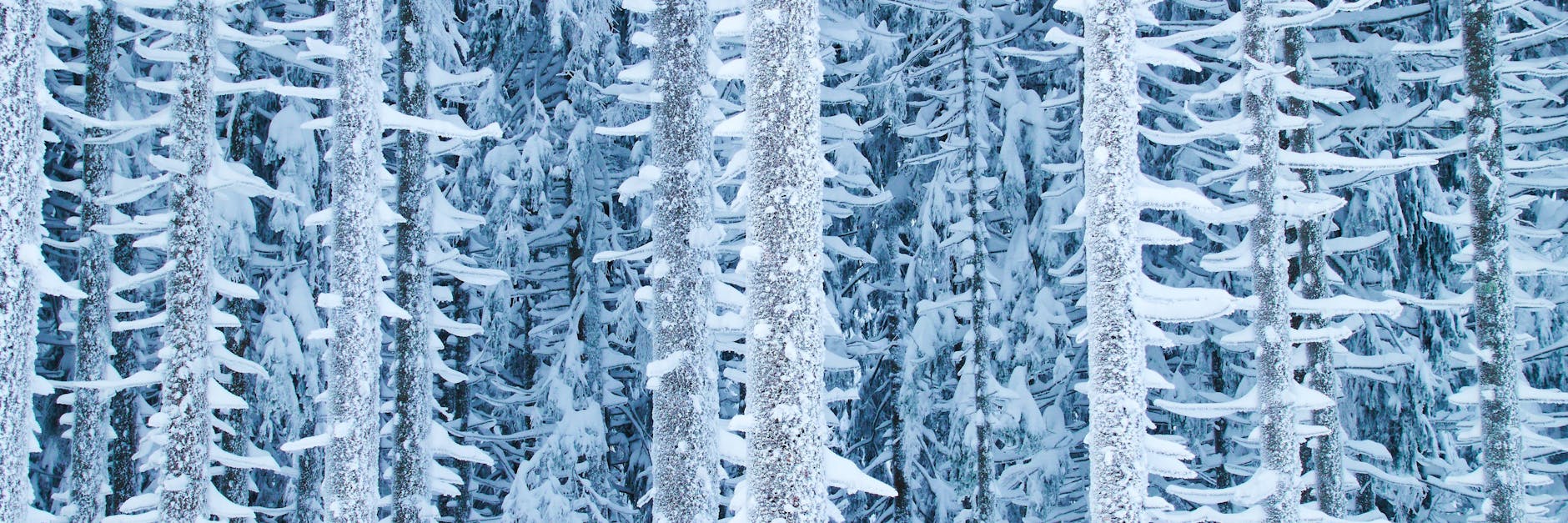 Der unerwartete Schneesturm traf am Freitagabend den Alpenpass Col du Glandon östlich der Stadt Grenoble. (Symbolbild).
