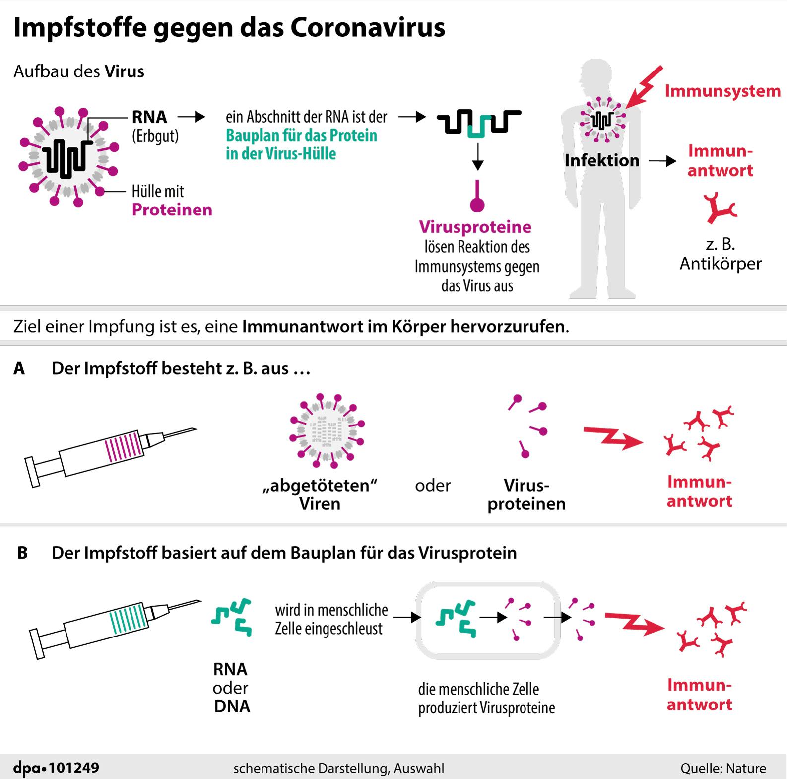 Wie Impfstoffe entwickelt werden - verschiedene Herangehensweisen. 