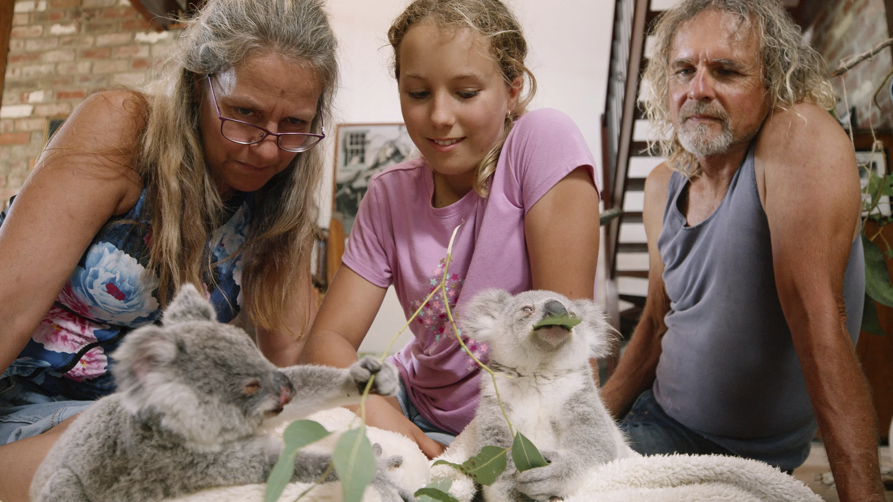 Izzy Bee sitzt mit ihren Eltern, Mutter Ali und Vater Tim, vor einigen der geliebten Koalas, die auf einer Decke an Blättern knabbern.