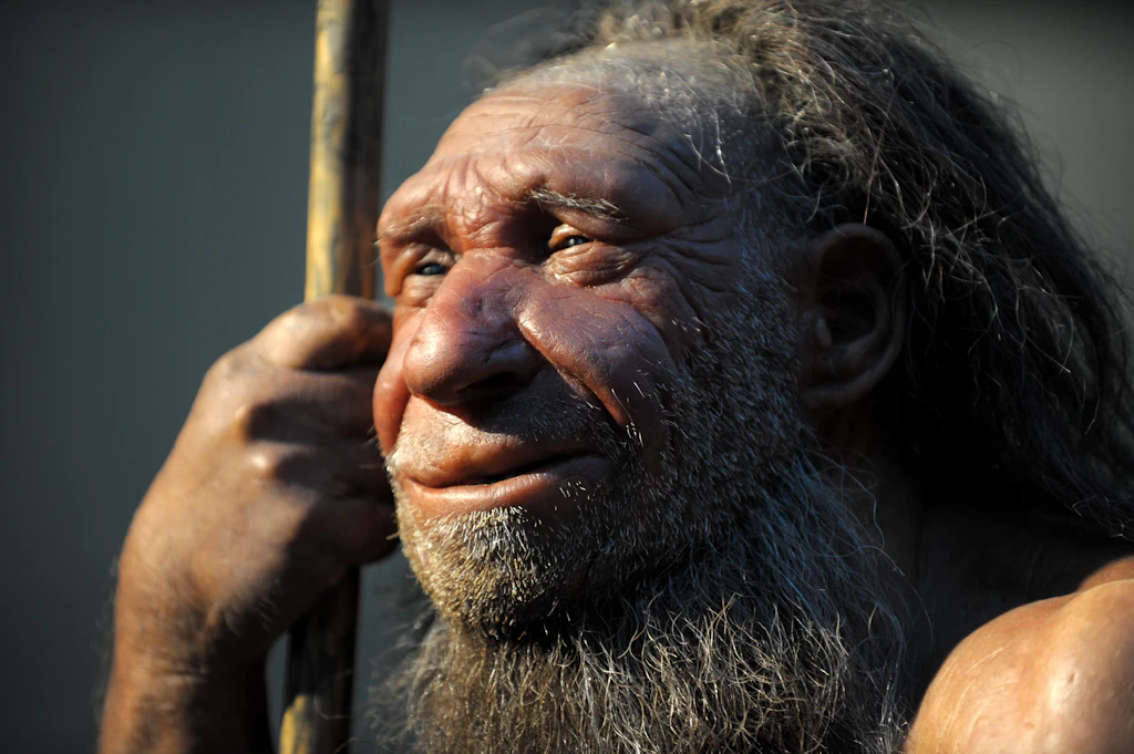Neandertaler-Gene erhöhen das Corona-Risiko
