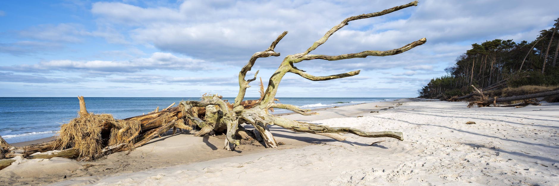 Die sauerstoffarmen Zonen in der Ostsee werden immer größer.