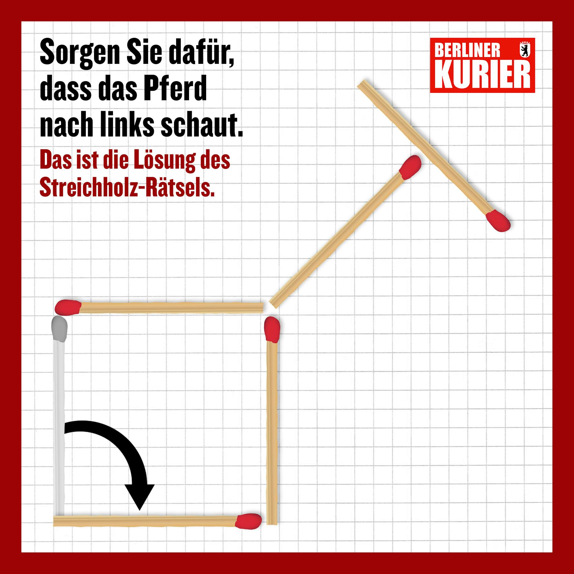 Ein Hölzchen wird gekippt, dann schaut das Pferd nach links - wenn man das ganze Rätsel um 90 Grad gegen den Uhrzeigersinn dreht.