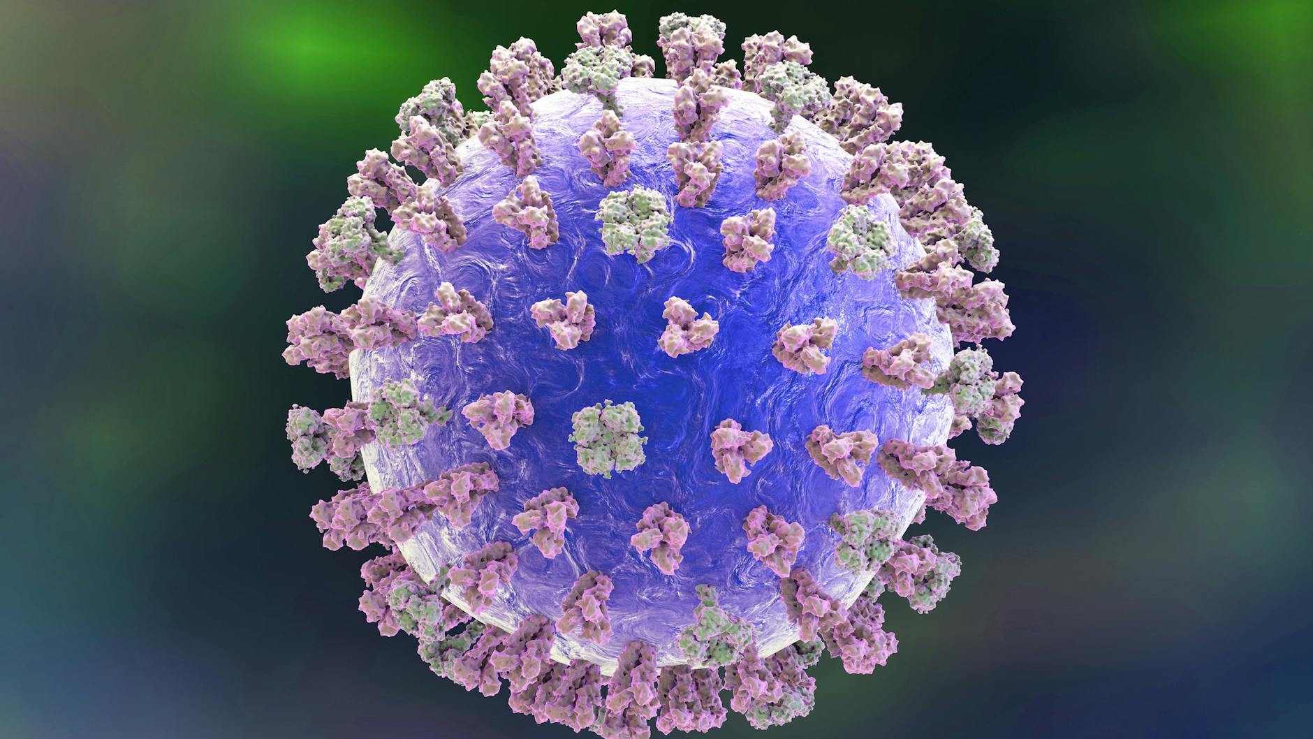 Dies ist kein Coronavirus: Influenzavirus in einer Computerillustration - mit den Oberflächenproteinen Hämagglutinin (violett) und Neuraminidase (grün).