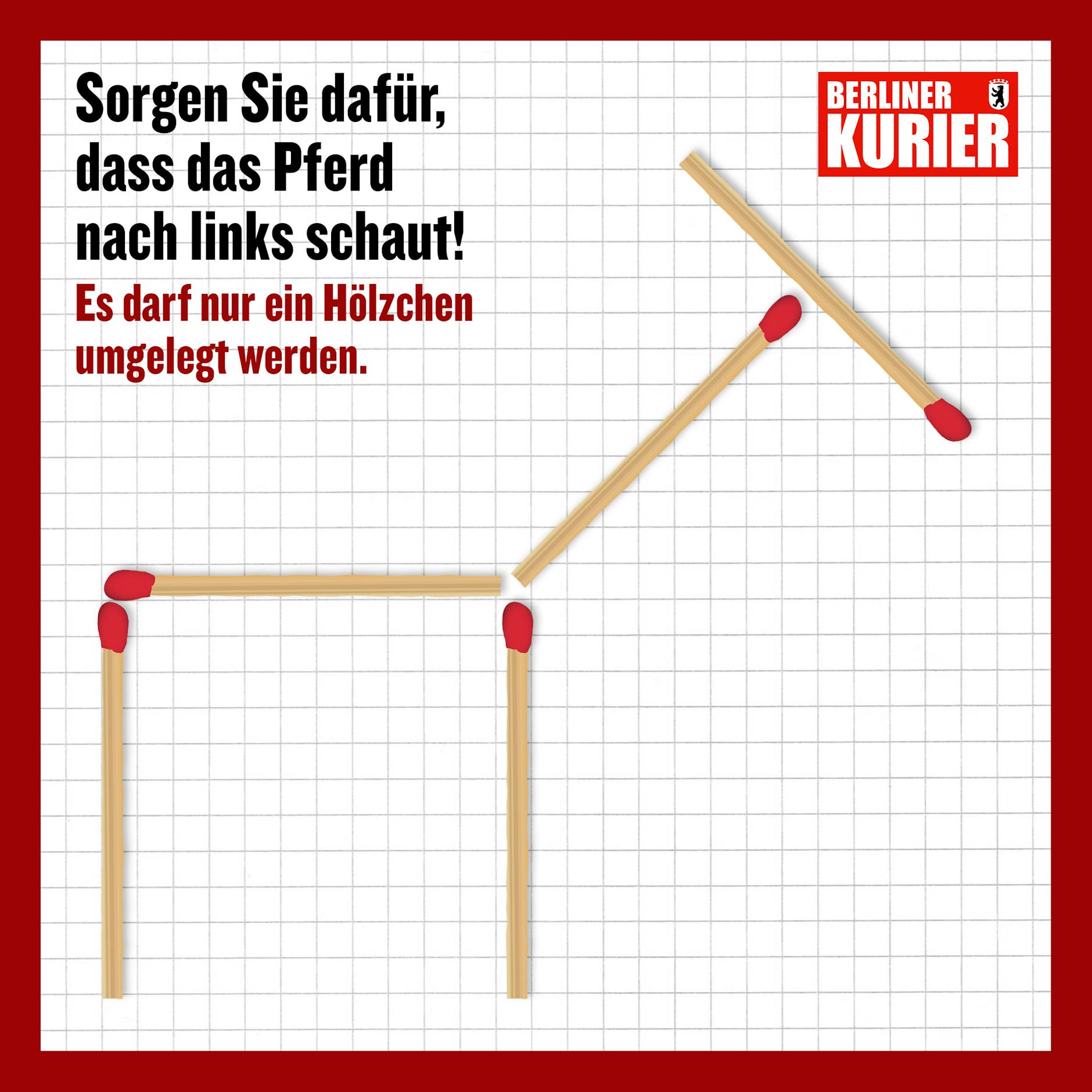 Was muss getan werden, damit das Pferd nach links schaut?