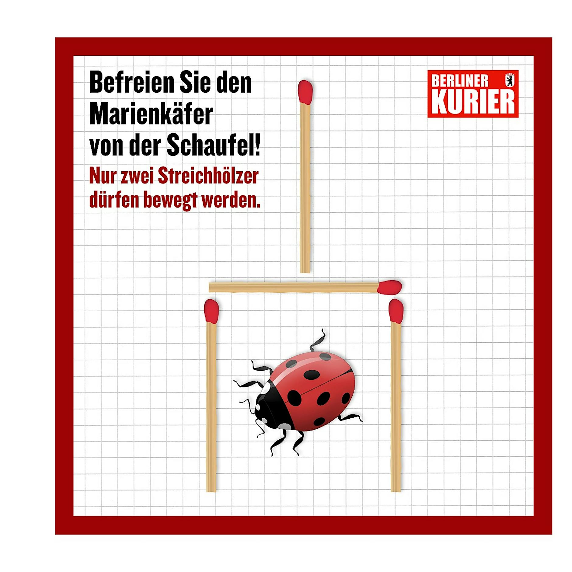 Knobel-Spaß: Lösen Sie diese kleinen, genialen Rätsel?