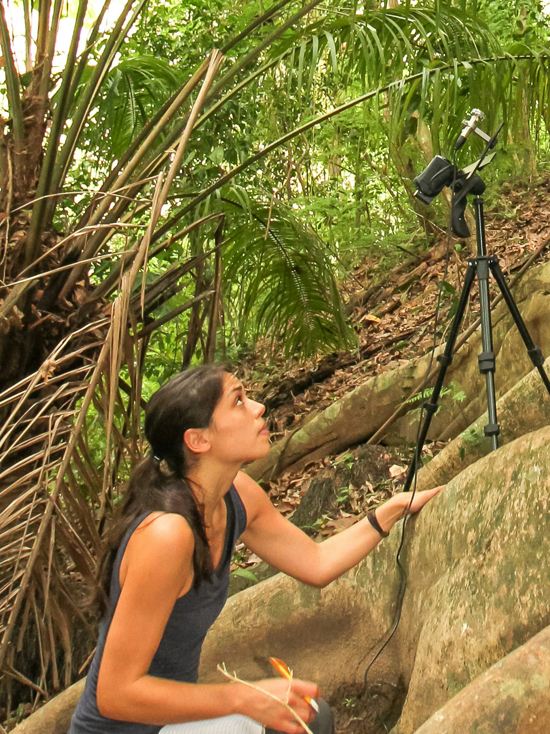 Die Berliner Biologin Ahana Fernandez untersuchte,&nbsp;wie die Jungen mit ihren Müttern interagierten.