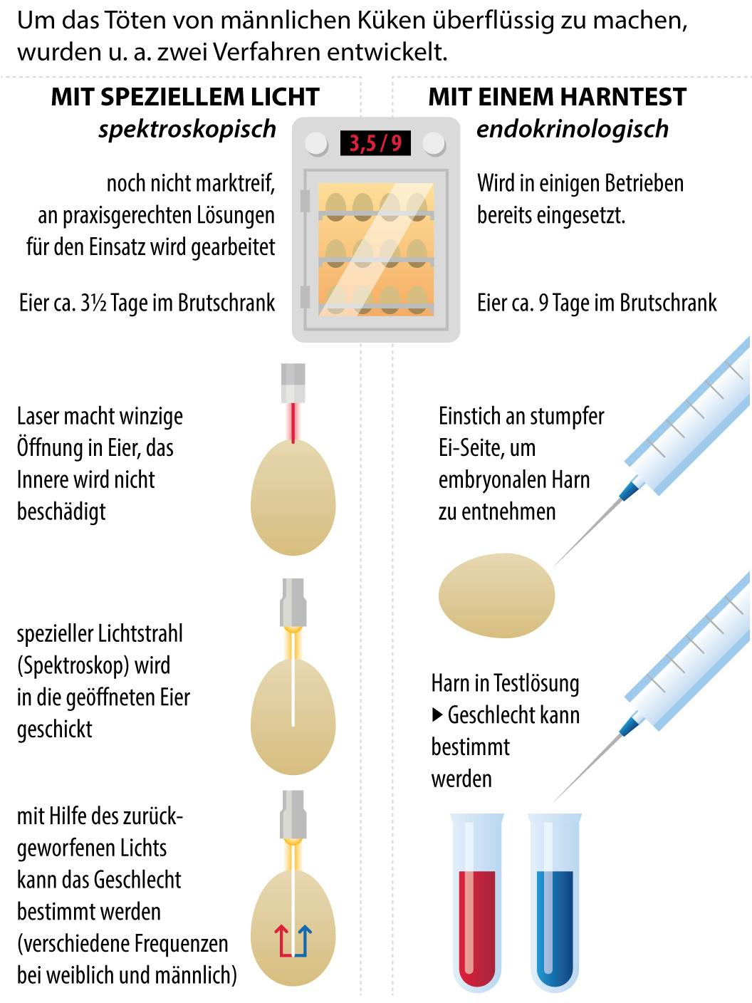 Das endokrinologische Verfahren zur Geschlechtsbestimmung (rechts) hat Marktreife und soll ab Ende 2021 von allen Brütereien eingesetzt werden. Das spektroskopische Verfahren, das vor dem Beginn des Schmerzempfindens der Embryonen (spätestens ab dem siebten Tag) eingesetzt werden kann, soll es später ersetzen.