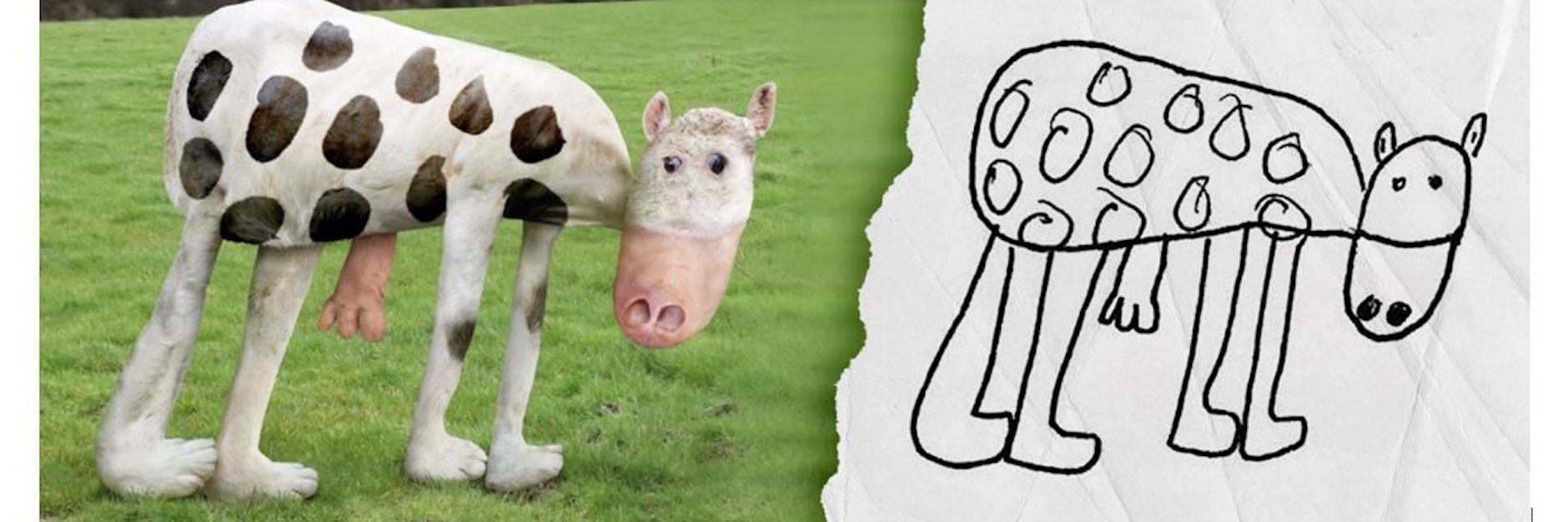 Zum Glück sind echte Kühe nicht so schief wie jene, die&nbsp;Tom Curtis mit Photoshop schuf.