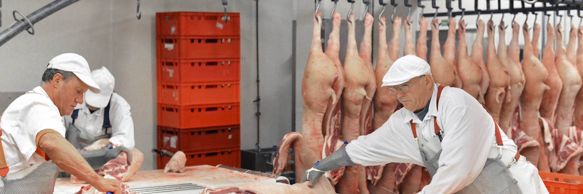 Immer mehr Ältere haben einen regelmäßigen Job.