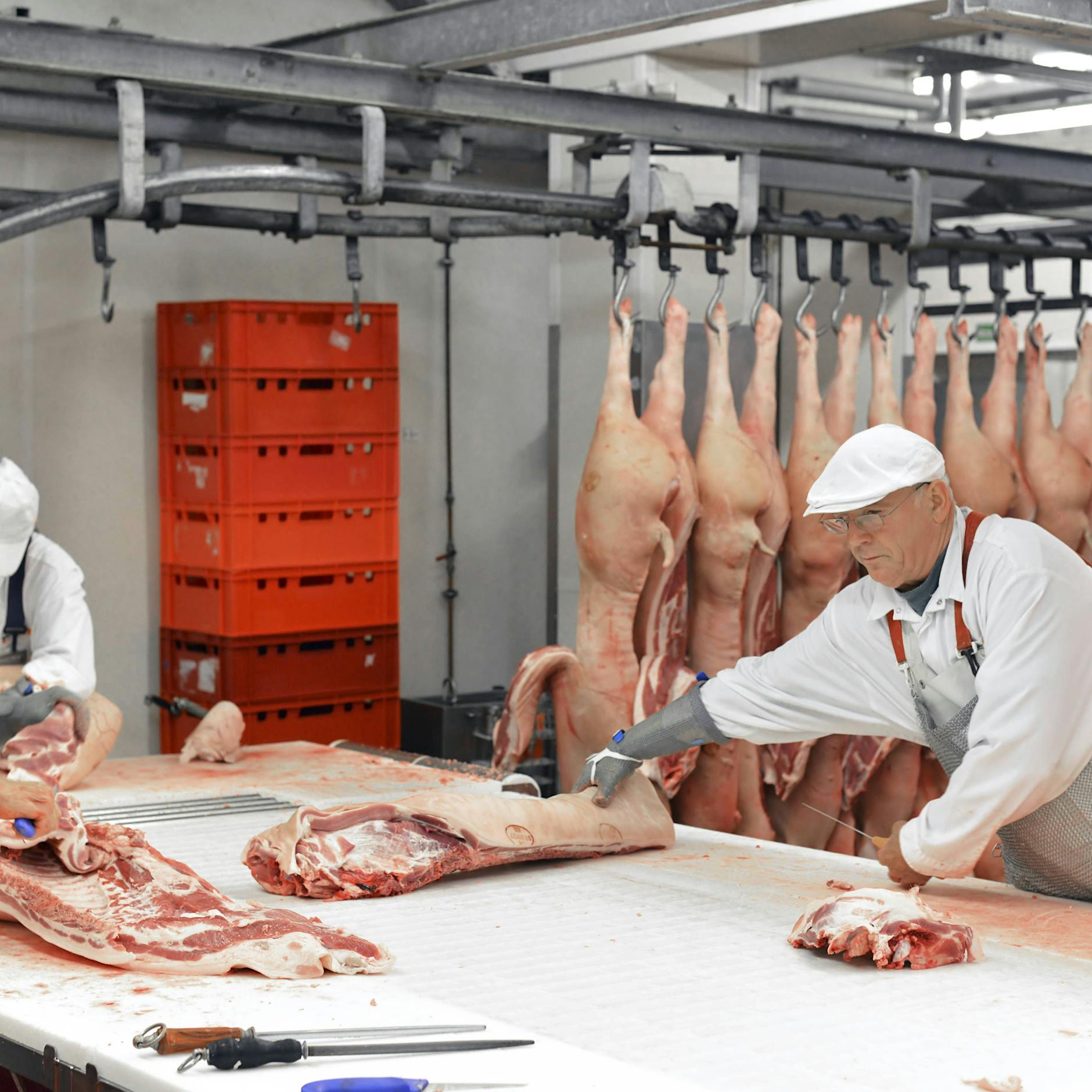 Generation 67 plus: Warum haben mehr als eine Million Ältere einen Job?