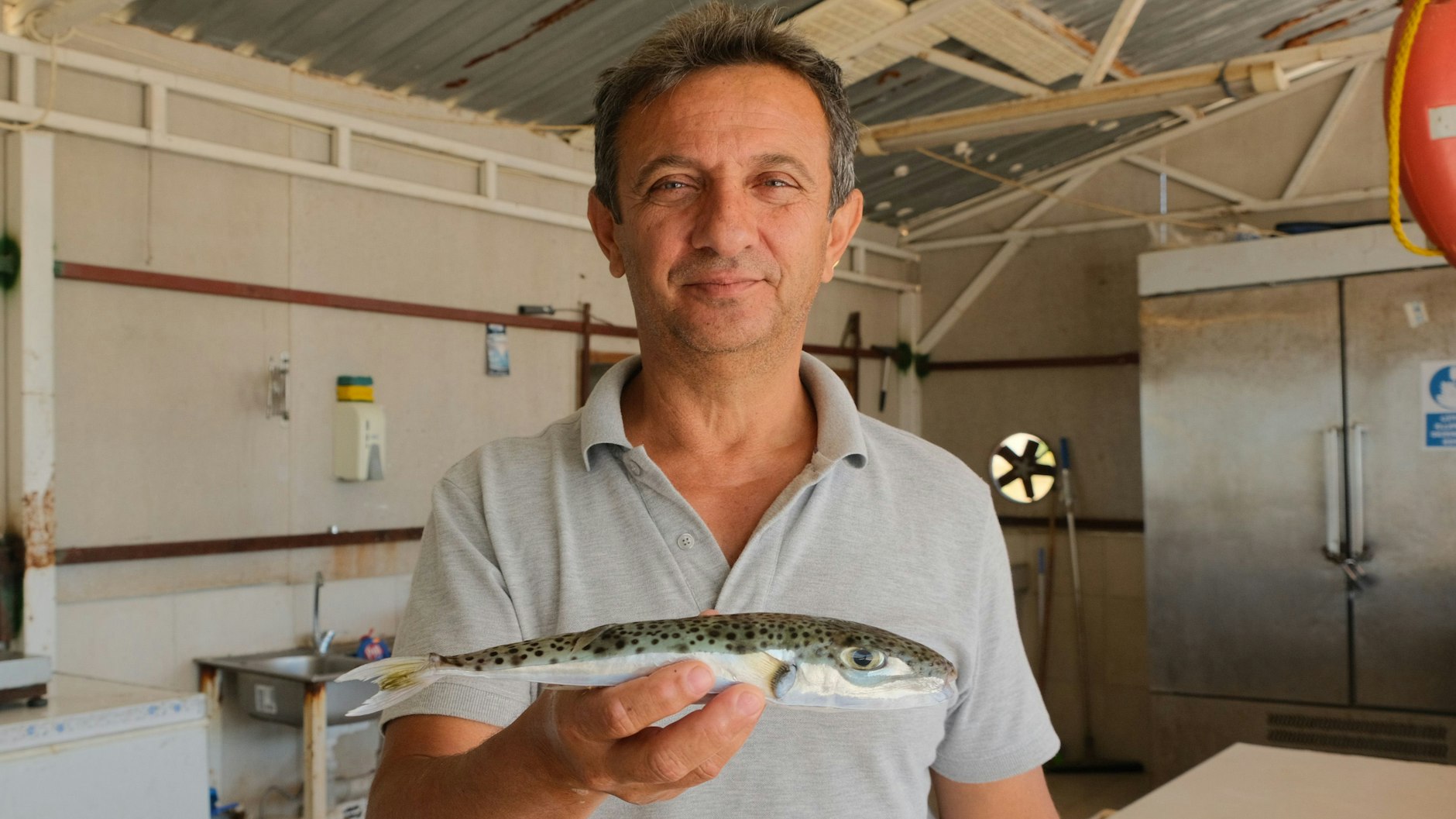 Der Leiter der Fischerei-Kooperative in Antalya, Cengiz Balta, weiß um die Problematik, die mit Hasenkopf-Kugelfisch verbunden ist. 