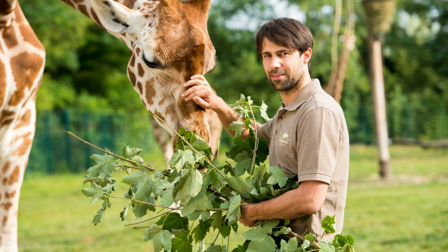 Florian Sicks ist im Tierpark der Kurator für Säugetiere, kennt sich mit dem Schlafverhalten von Giraffen bestens aus.