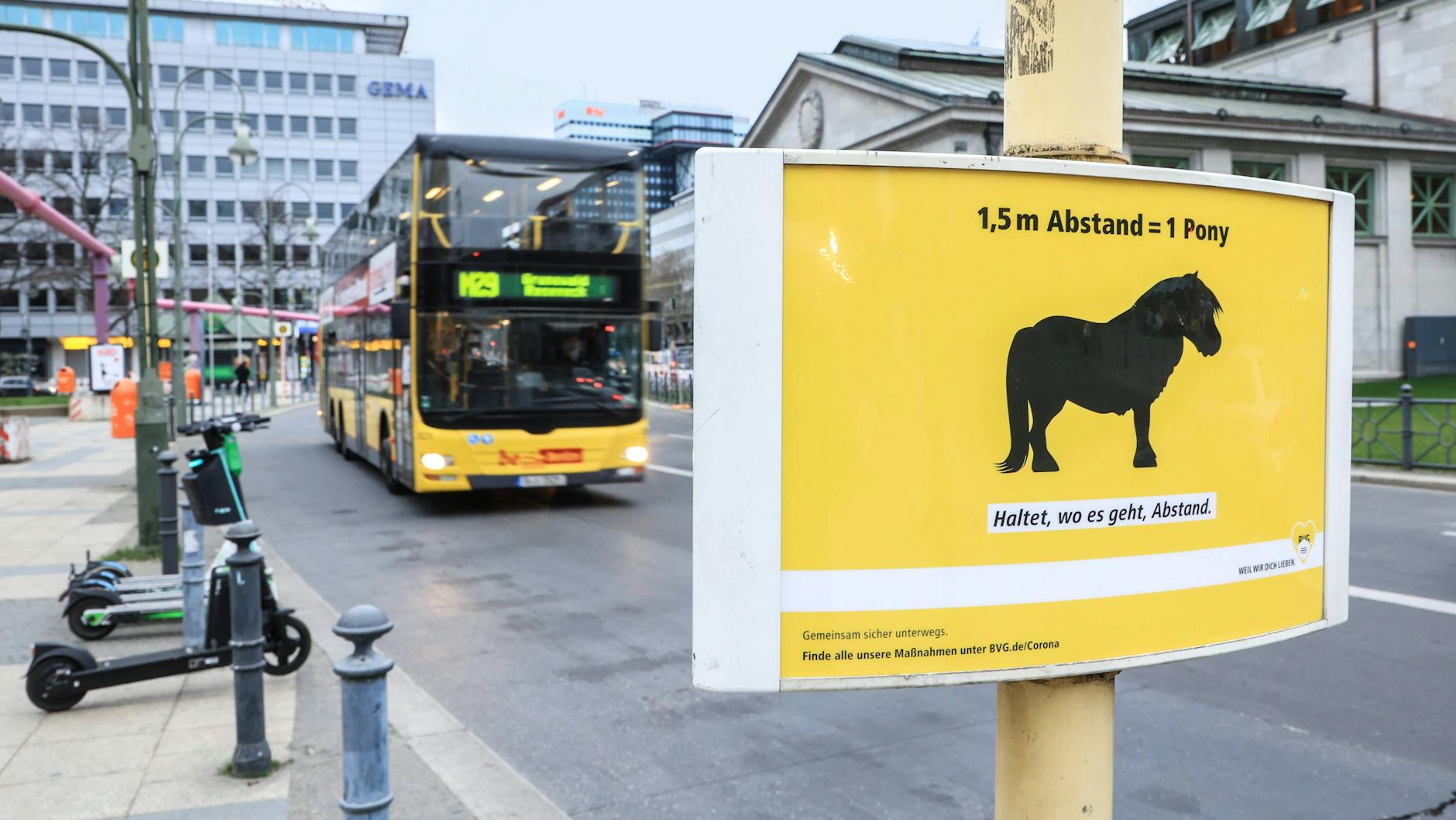 Keep one pony's length apart and your MasterCard at the ready.