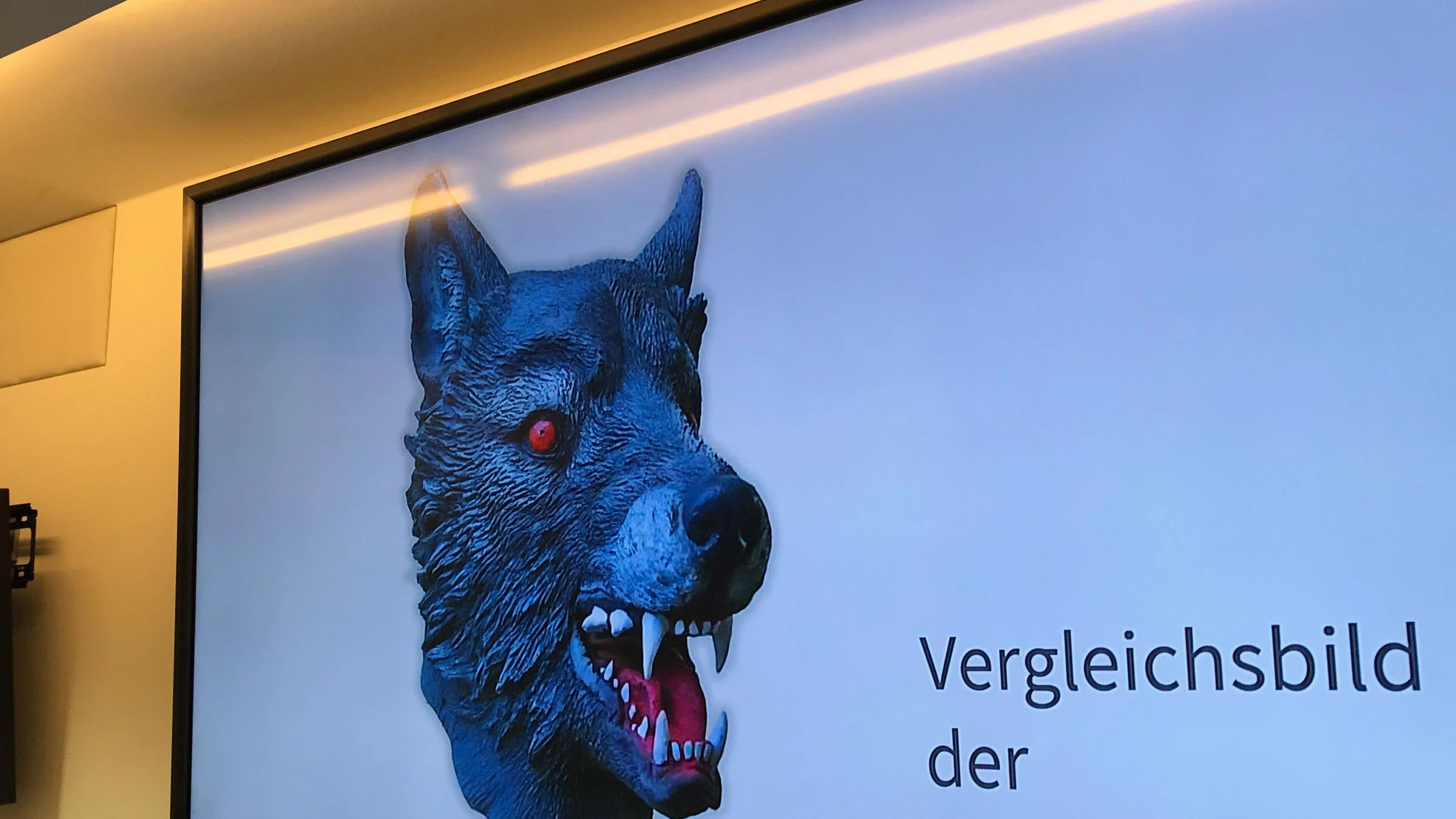 Nach der Tat präsentierte die Münchner Polizei dieses Vergleichsbild einer Wolfsmaske.&nbsp;