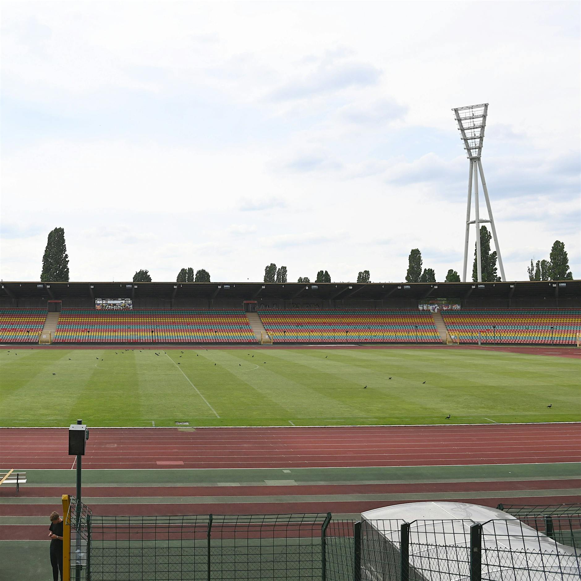Viktoria und Thunder erwecken das Jahnstadion zu neuem Leben