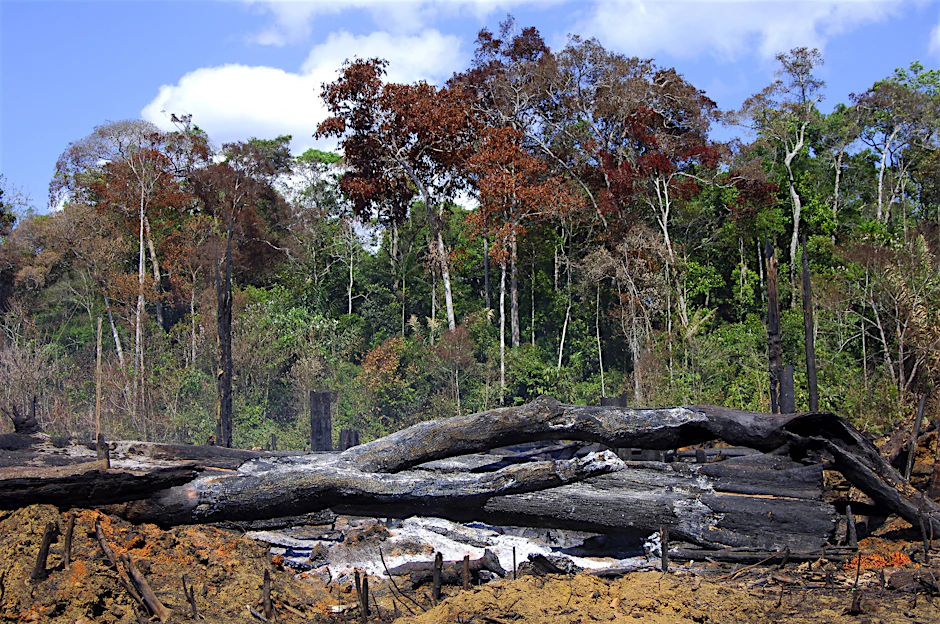 Brandrodung im Amazonas-Regenwald in Brasilien