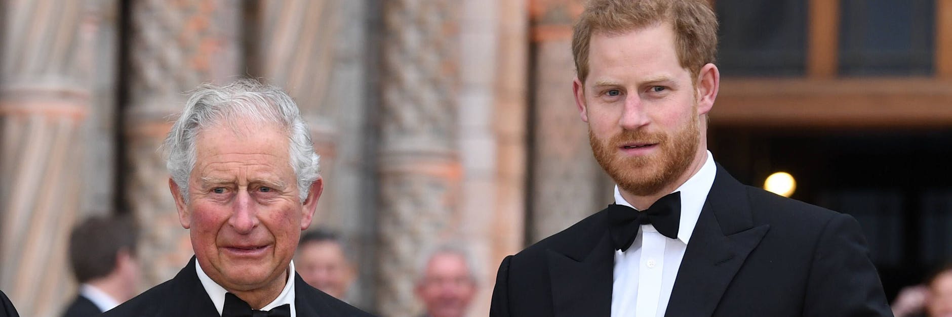 Prinz Charles und sein Sohn Harry im Jahr 2019