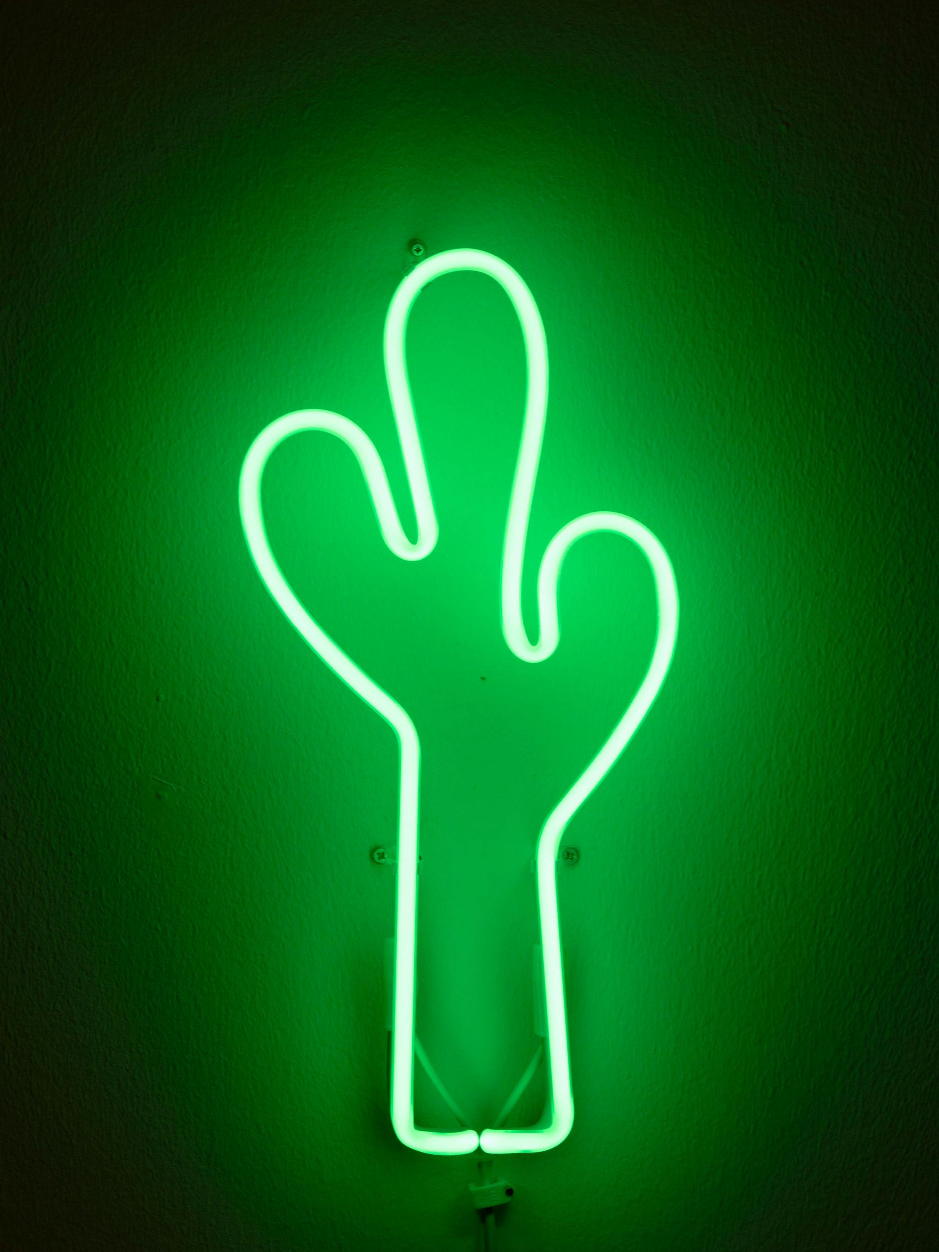 Claudia Comte's "Neon Cactus Green", her donation to the Opera Village project.<br>