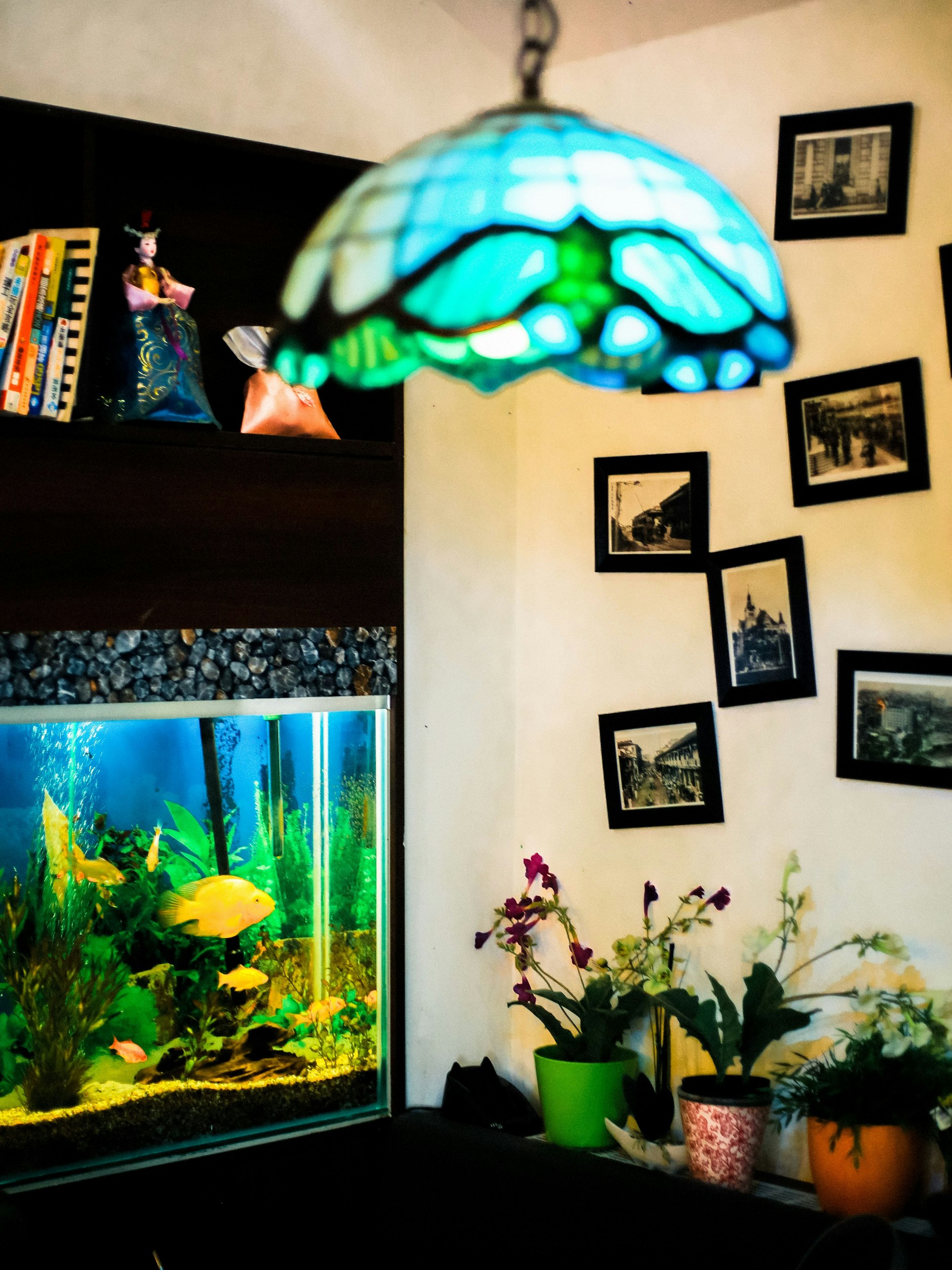 Im Innern des&nbsp;Shaniu’s House of Noodles in Wilmersdorf-Berlin gibt es sogar ein Aquarium.