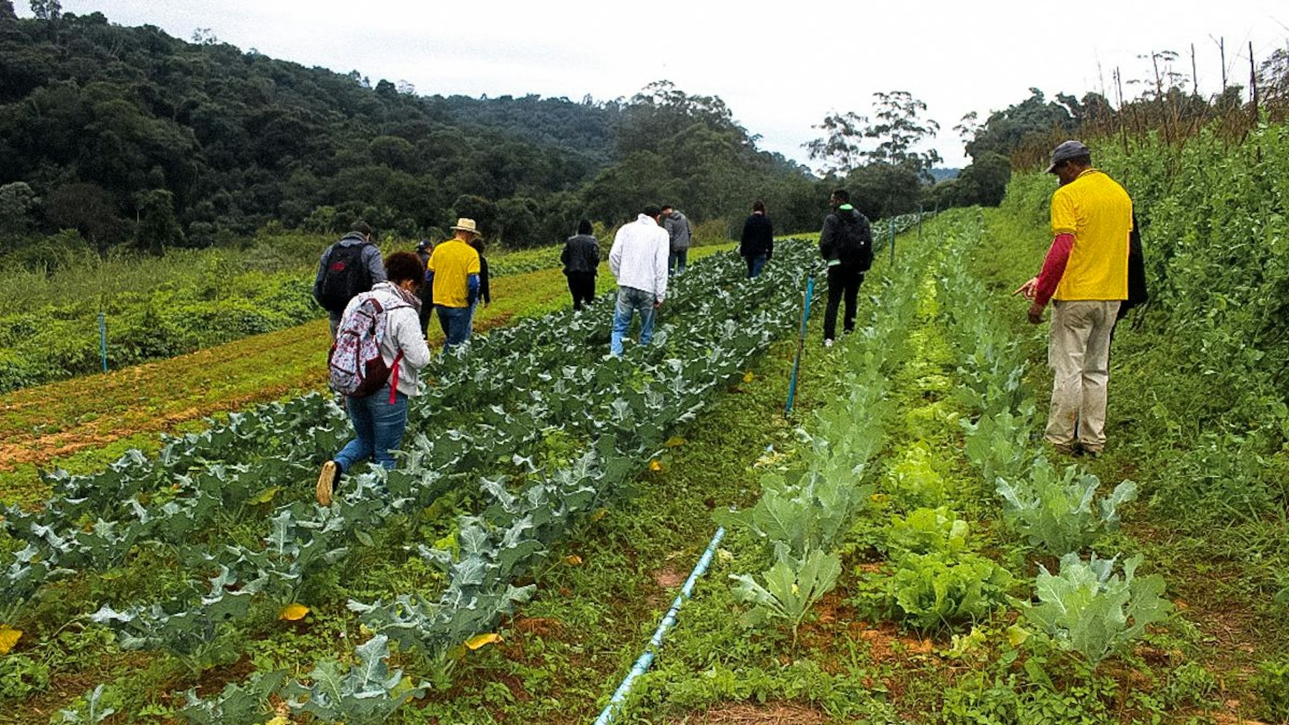 Touristen machen Urlaub und lernen dabei nebenbei etwas über Landwirtschaft. 