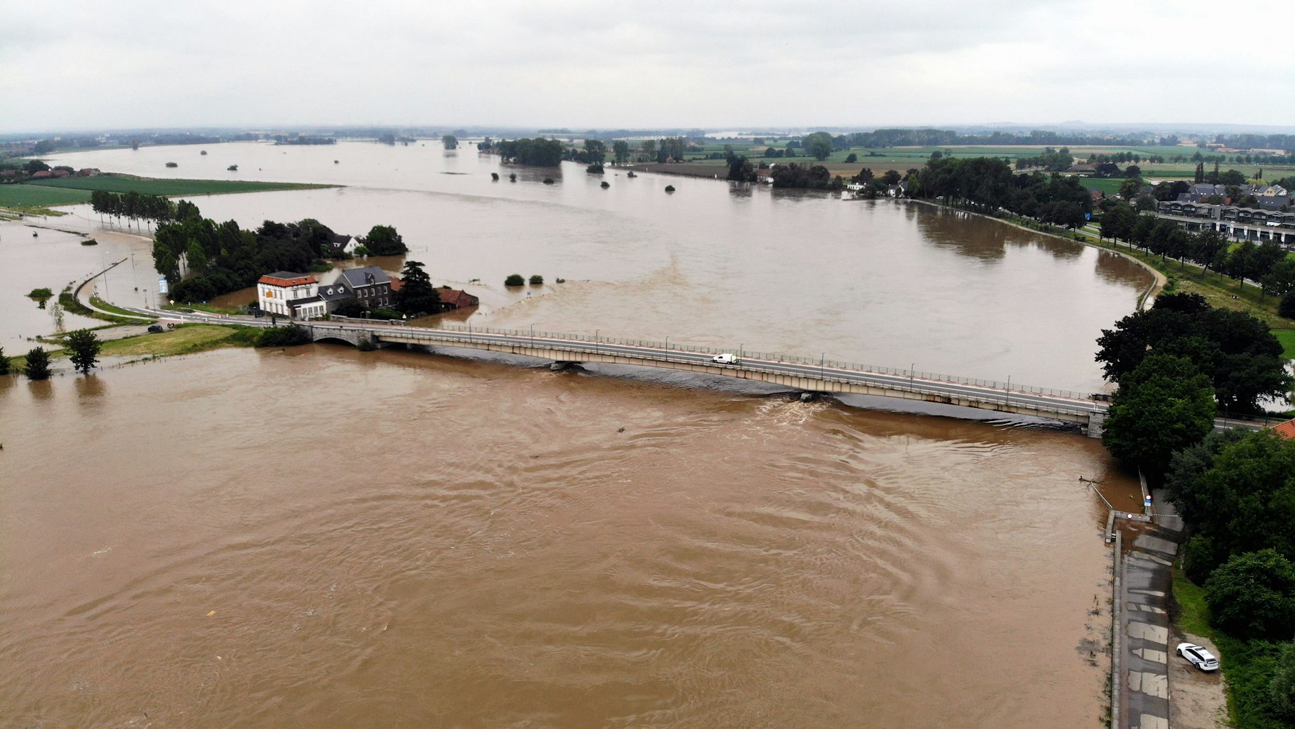 Der Fluss Maas tritt über die Ufer. Die Strömung riss in den Niederlanden eine Kuh rund 100 Kilometer mit. Das Tier überlebte die Odyssee überraschend.