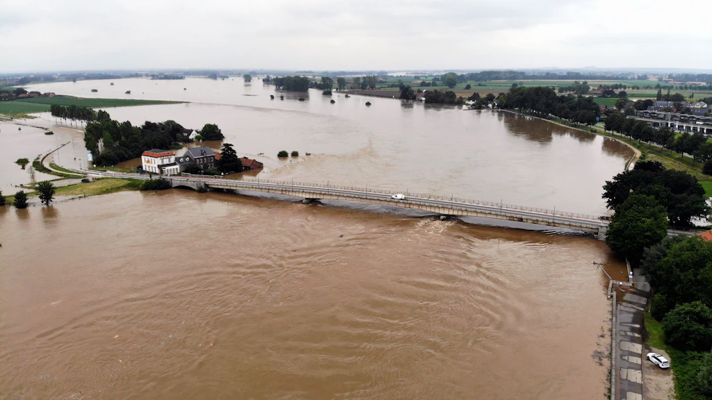 Kuh 100 Kilometer von Hochwasser mitgetrieben – und gerettet