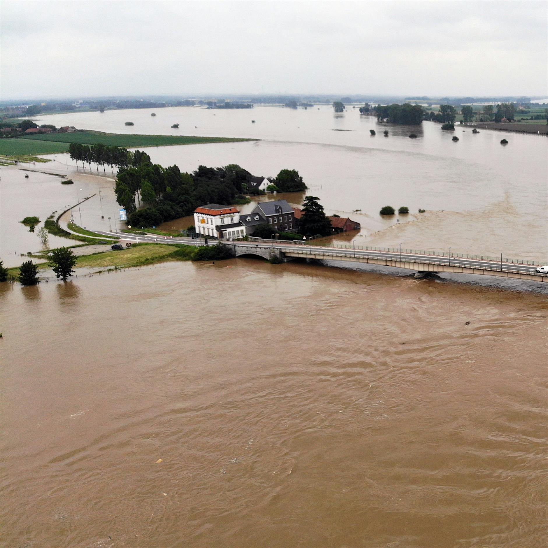 Kuh 100 Kilometer von Hochwasser mitgetrieben – und gerettet
