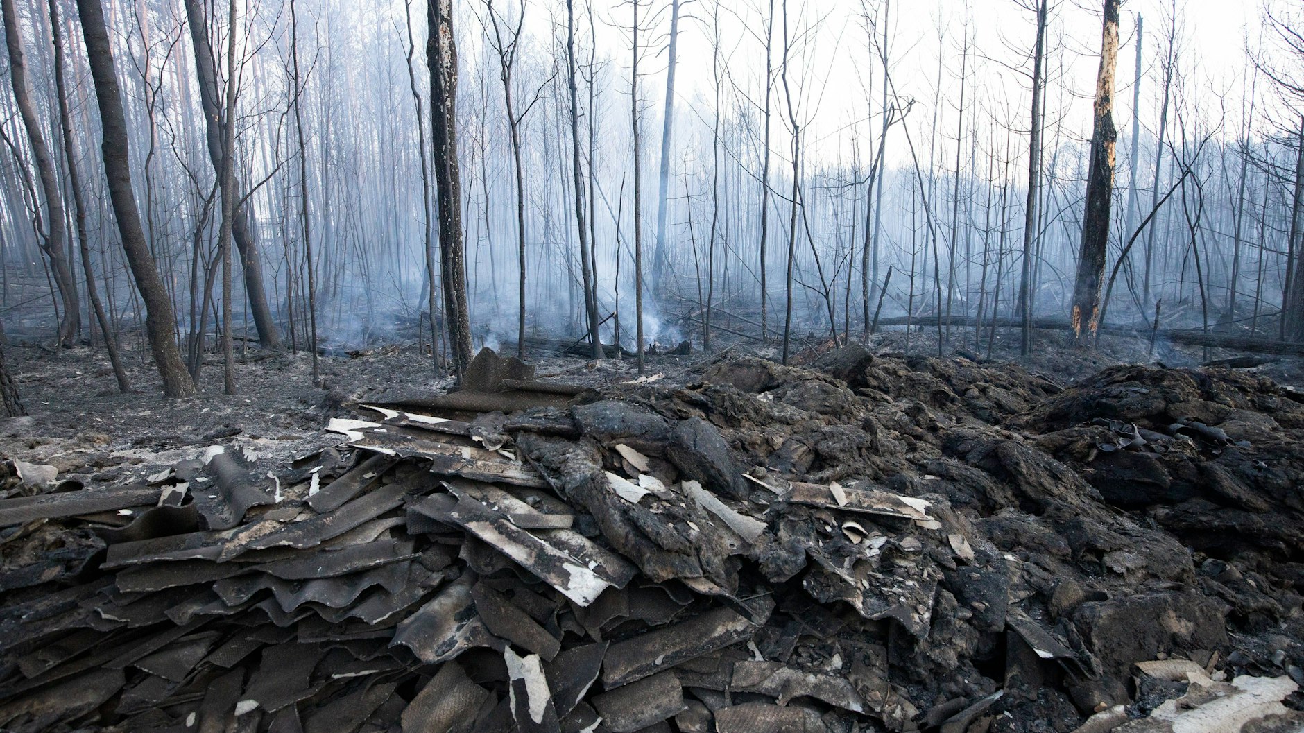 745 000 Hektar Waldfläche standen in Russland in Flammen.